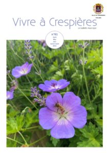 Publications 11