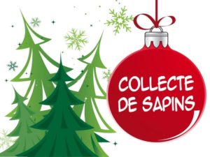 Ramassage des sapins de Noël 2