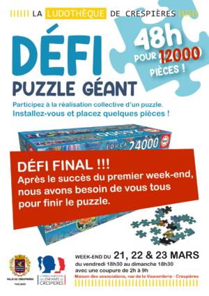 Suite et fin du défi puzzle